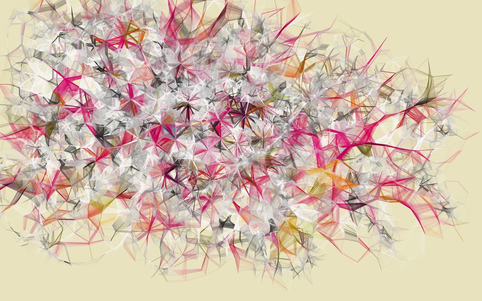 Casey Reas generative software artwork