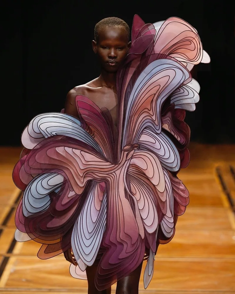 Iris van Herpen couture acquired by the Tia Collection