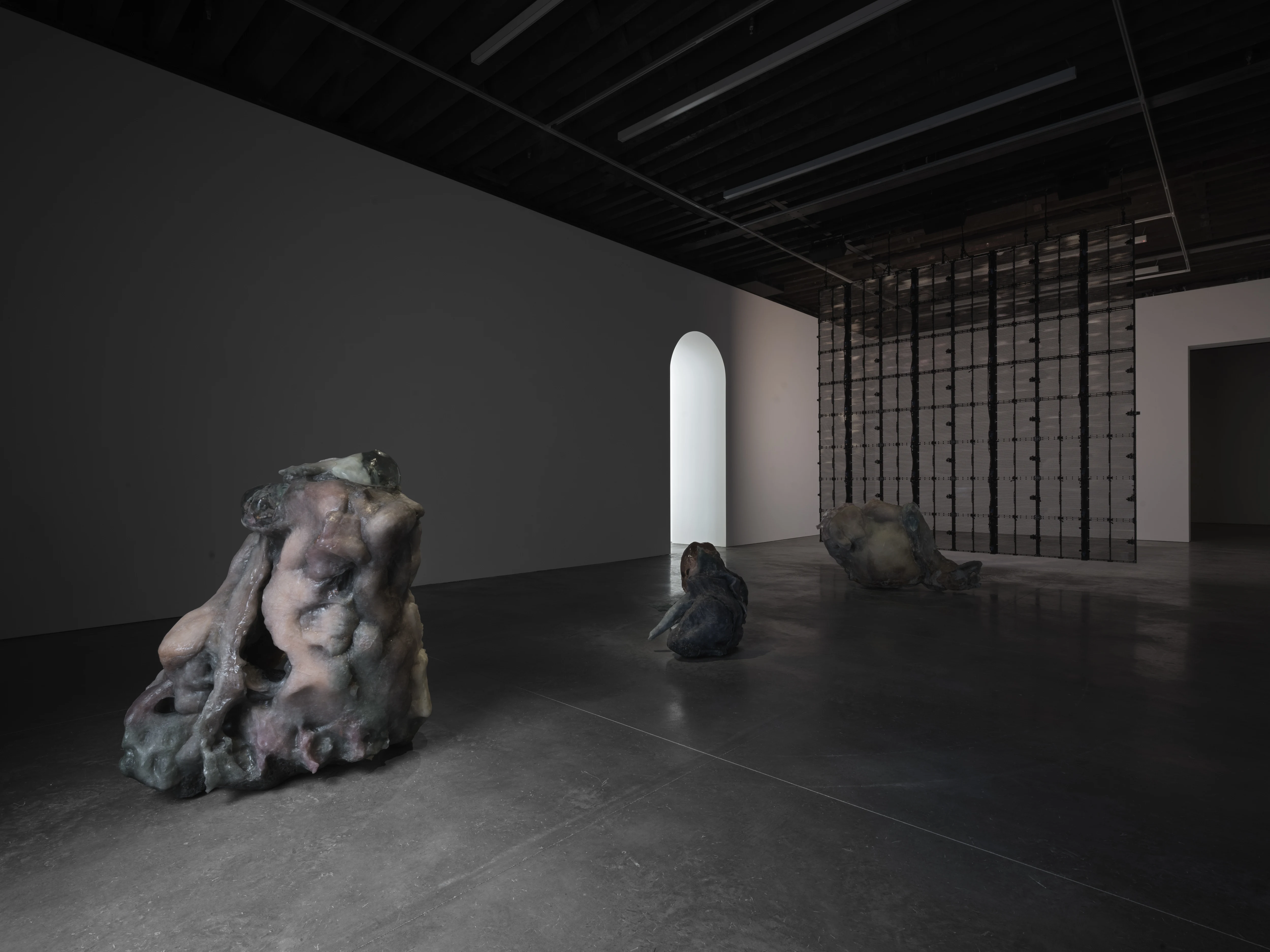 Pierre Huyghe contemporary artwork collected in South Korea