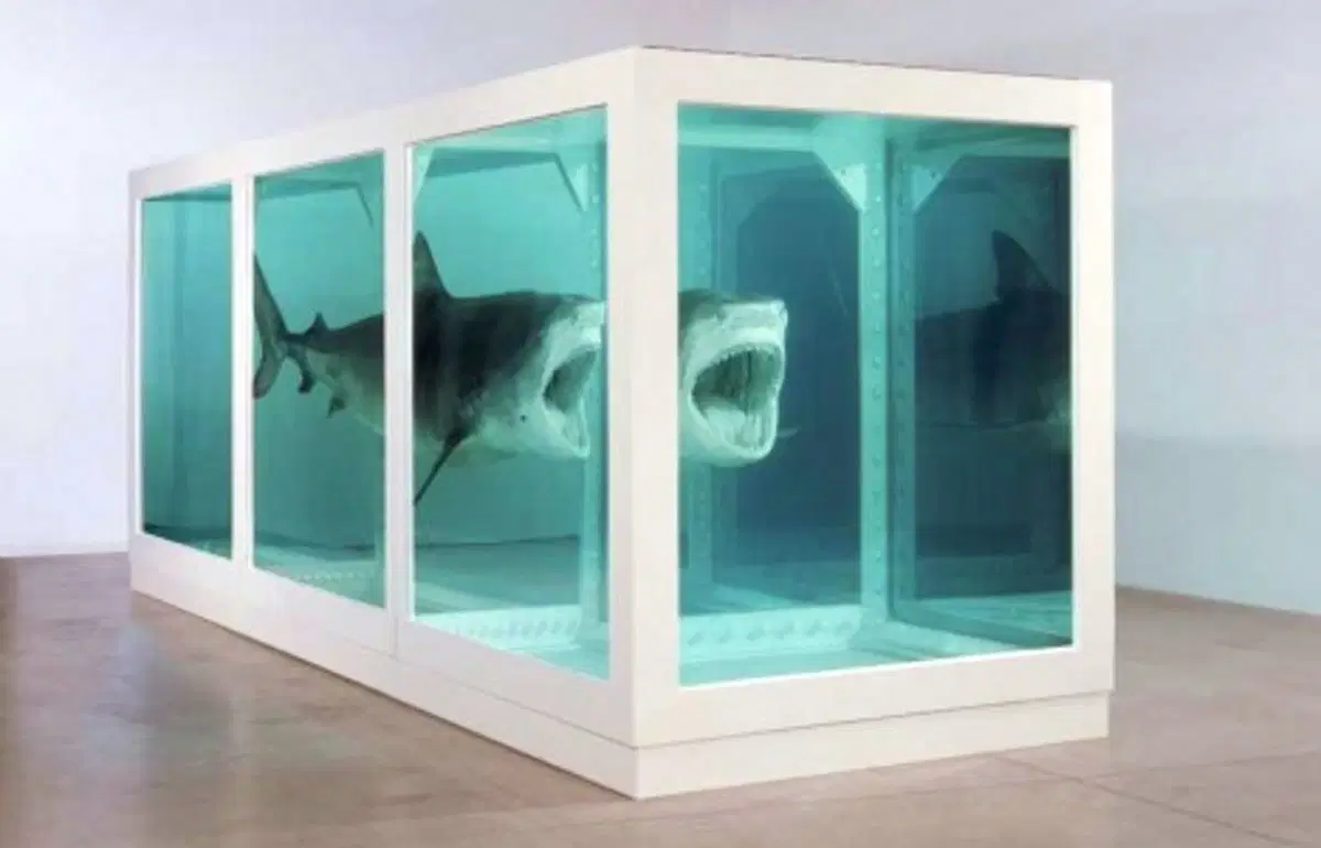 Damien Hirst Young British Artist installation