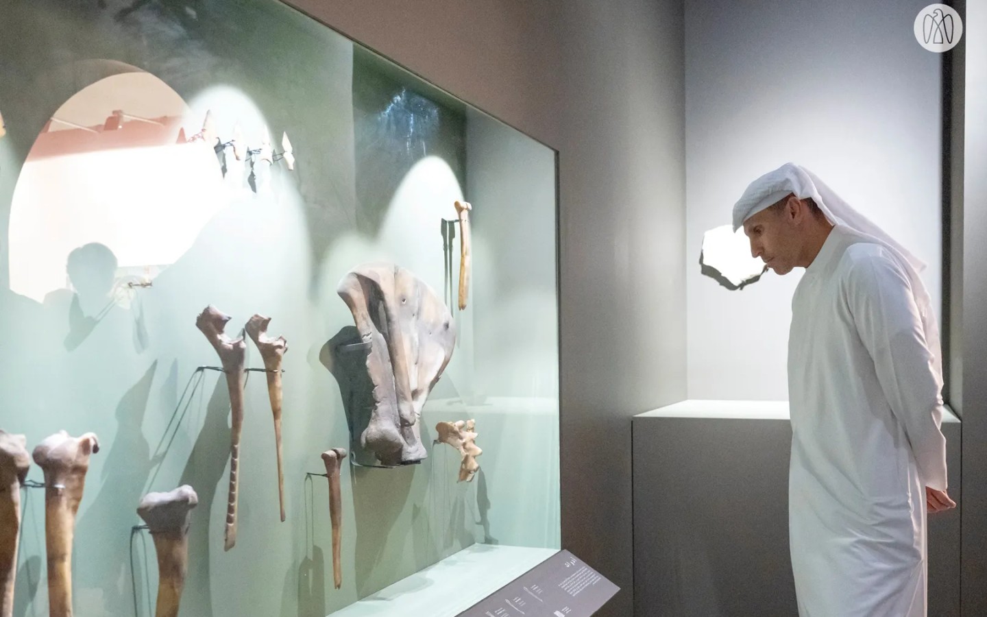 Abu Dhabi Art 2025 — gallery presentations at the opening