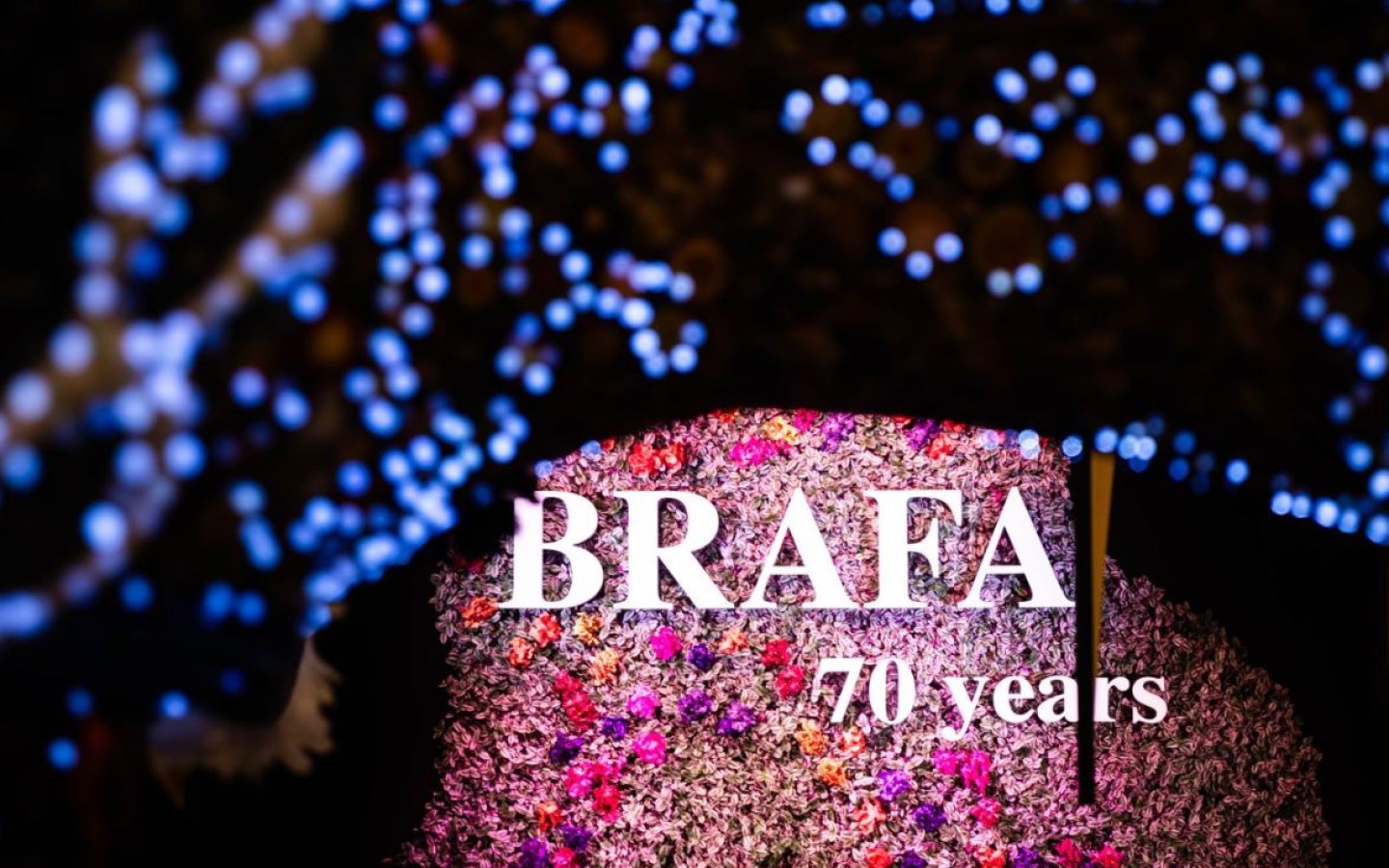 BRAFA 2027