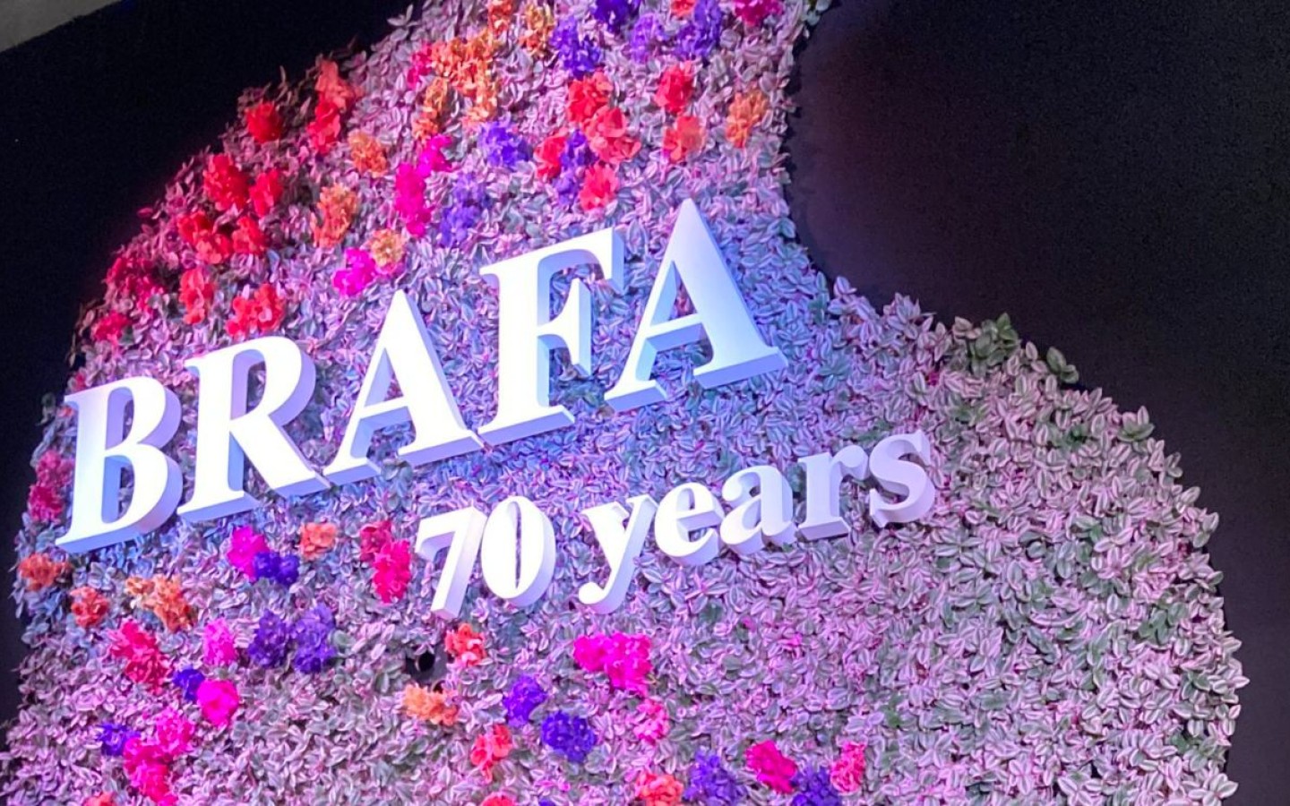 BRAFA 2027